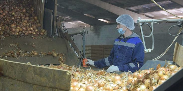 Продукция сельхозпроизводителей Волгоградской области станет доступнее в крупных розничных сетях